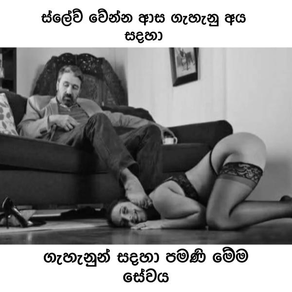 6795ce2d5d06cWjSztTs9zX1737870893.jpeg